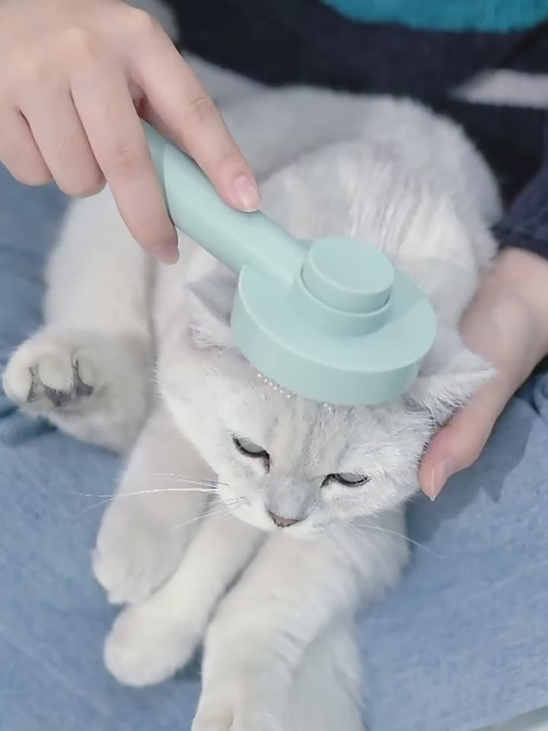 Self-Cleaning Pet Comb - Gentle Grooming for Happy Cats & Dogs
