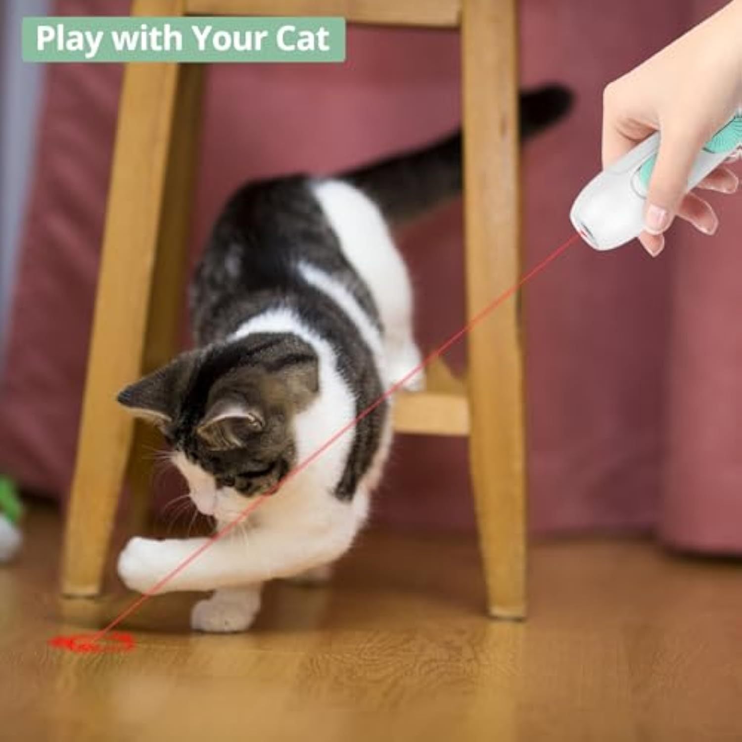 Interactive Cat Toy - Rechargeable Laser Wand with Feather Fun