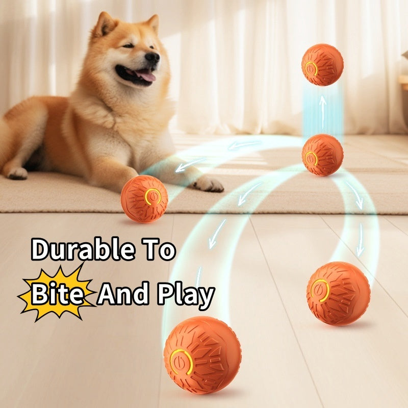Bouncy Pet Toy Ball – Keep Dogs Busy & Happy
