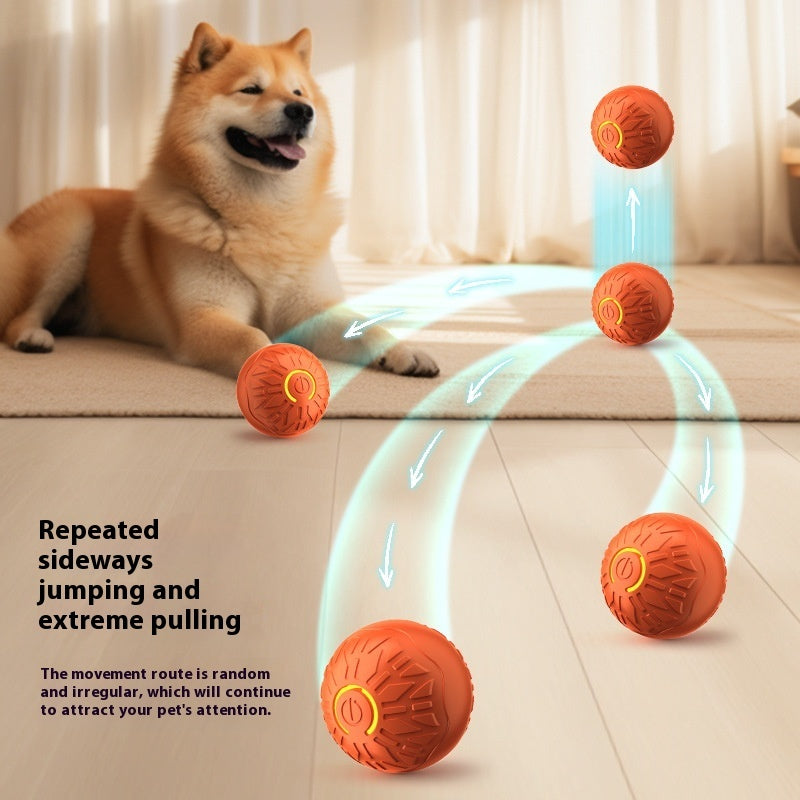 Bouncy Pet Toy Ball – Keep Dogs Busy & Happy