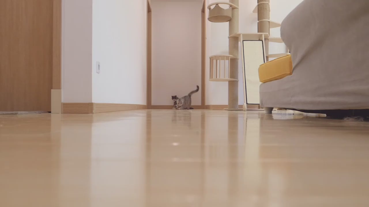 USB Rechargeable Cat Laser Pointer - Fun Interactive Play