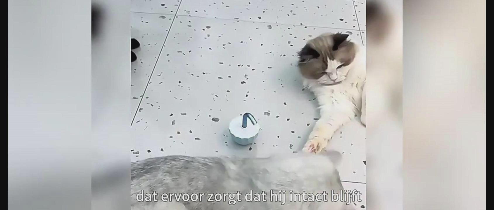 Smart Cat Laser Toy - Automatic USB Rechargeable Play Fun