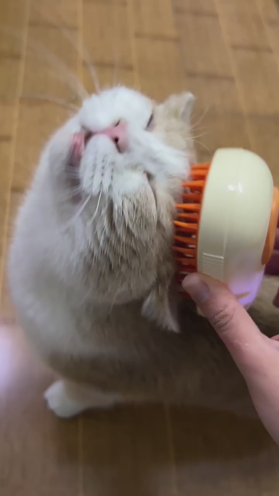 Avocado Steam Cat Brush - Gentle Grooming & Relaxing Massage